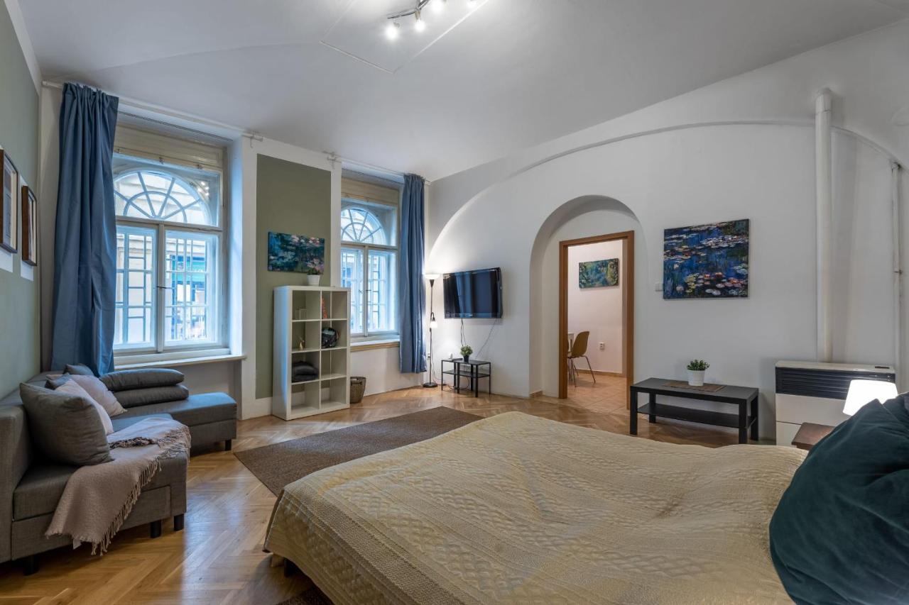 Spacious 3 Bedroom Apartment In The Heart Of 布拉格 外观 照片